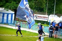 Telescopic pole standard 4m