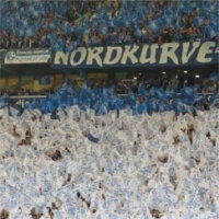 Hand flags screen printing flame retardant